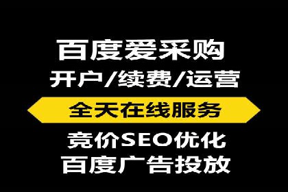 成功运用SEM服务实现品牌推广的案例分析